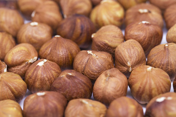 Hazelnut pile closeup. Hazelnut photo background. Organic food rustic banner template.