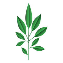 branch with leafs decorative icon vector illustration design