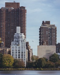 View at buildings from Central Park
