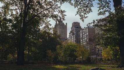 View at buildings from Central Park