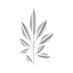 branch with leafs silvery decoration vector illustration design