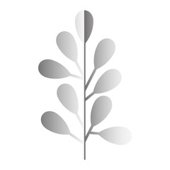 branch with leafs silvery decoration vector illustration design