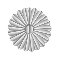 beautiful sunflower silvery decoration vector illustration design