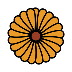 beautiful sunflower decorative icon vector illustration design