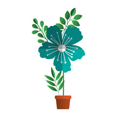 beautiful flower in pot houseplant vector illustration design