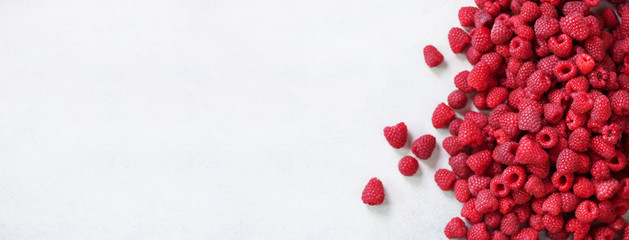 Fresh organic raspberries. Fruit background with copy space. Summer and berries harvest concept. Vegan, vegetarian, raw food. Banner.