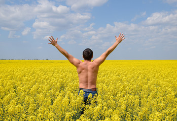 Free man in the field. The man raised his hands up. Field of flowering rape.