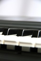 Fototapeta na wymiar musical keyboard with black and white notes
