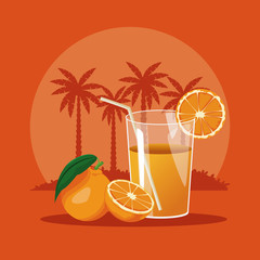 Summer orange juice glass cup vector illustration graphic design