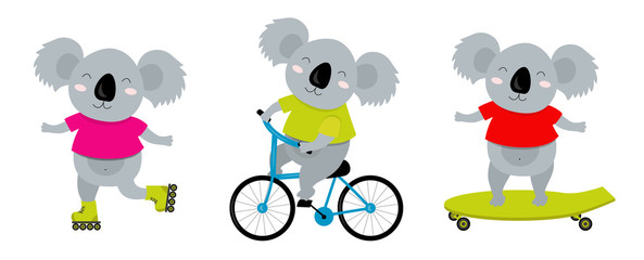 Vector illustration of sporty koala on a bicycle, roller skates, skate. Perfect for postcard, baby book, poster, banner © Alexandra