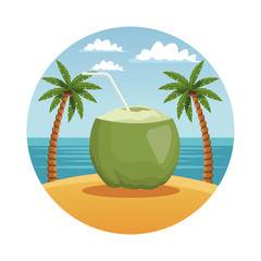 Coconut cocktail in beach in round symbol vector illustration graphic design