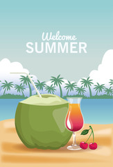 Coconut and cocktail cup vector illustration graphic design