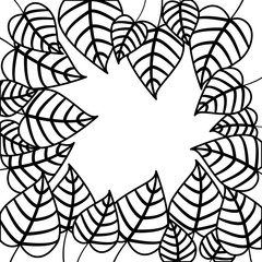 leafs plant frame pattern vector illustration design