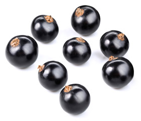 Black currant isolated