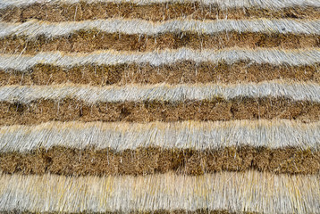Roof built of dry straw. Cheap and ecologically friendly roof covering for rustic houses.
