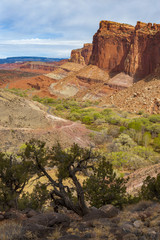 Capitol Reef National Park. Located in south-central Utah, Capitol Reef National Park is a hidden treasure filled with cliffs, canyons, domes and bridges in the Waterpocket Fold.