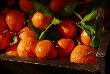 pile of tangerines
