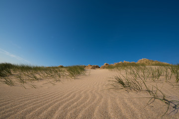 Cornish sand dunes 