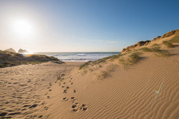 Fototapeta na wymiar Cornish sand dunes 