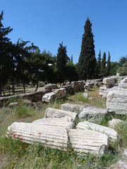 Coquelicots &agrave; l'Acropole