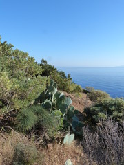 Les falaises de l'Attique, au temple de Pos&eacute;idon