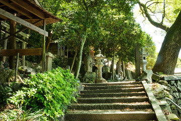 香川県 小豆島 中山 棚田 湯船山