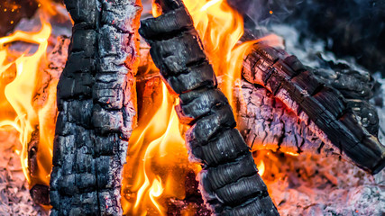 Camp Fire