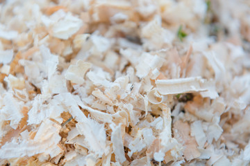 Texture of sawdust. Wood shavings.