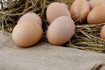 Brown eggs on sackcloth and rice straw