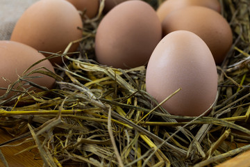 Brown eggs on sackcloth and rice straw