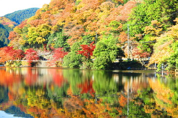 紅葉の湖の風景25