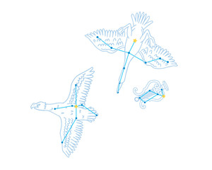 夏の大三角形 イラスト © SENRYU