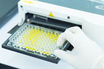 Scientist is putting ELISA plate to measure OD with micro plate reader	