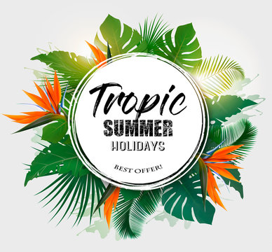 Summer Holiday Background With Tropical Plants And Coloful Flowers. Vector