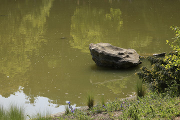 Berge d'une rivière