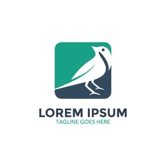 sparrow logo. vector illustration. icon