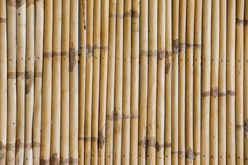Bamboo fence background