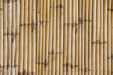 Fototapeta premium Bamboo fence background
