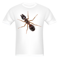 White t-shirt with design  ant