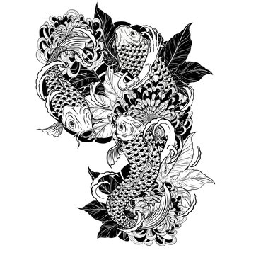 Naklejka Carp fish and chrysanthemum tattoo by hand drawing.Tattoo art highly detailed in line art style.