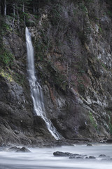 Obraz premium Pacific Coastline waterfall, Third Beach, Olympic National Park near LaPush, WA