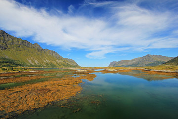 Fototapeta na wymiar Mountain and fjord landscape, norwegian sea at Holandsmelen, Vestvagoy, Lofoten Islands, Scandinavia, Norway