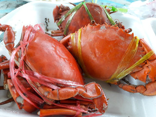Sea crab boiled new orange flesh sweet delicacy fragrant fresh from the sea.