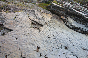 Rock plate sanded off the glacier at Roddenes Nature Reserve, Lakselv, Norway, Scandinavia, Europe