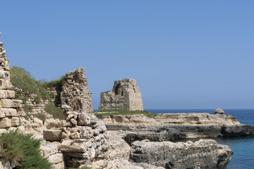 Fototapeta na wymiar Torre di Roca vecchia