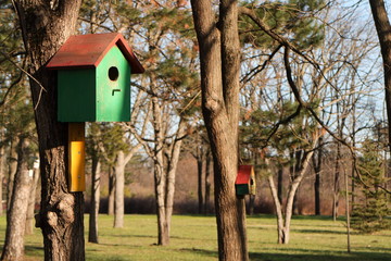 Picture of bird feeders in the park.