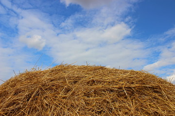 Rural autumn landscape – dry golden haystack on the background of cloudy blue sky