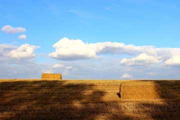 Hay in square bales in summer on a yellow field against the horizon and beautiful blue sky with clouds - rural landscape, harvesting, fodder