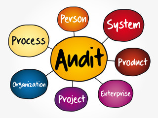 Audit evaluation area mind map flowchart, business concept for presentations and reports