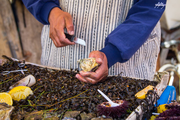 The seller of oysters rips a small knife shell of the malyus at the fish market in Essaouira.
